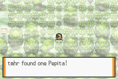 Obtención de la Pepita en Lost Woods